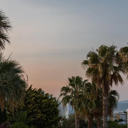 Celia Villa Naousa (Paros)